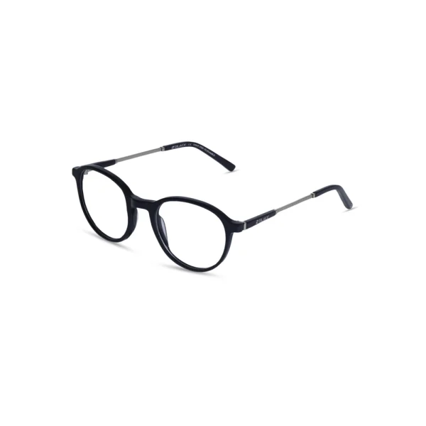 Z0304 optical