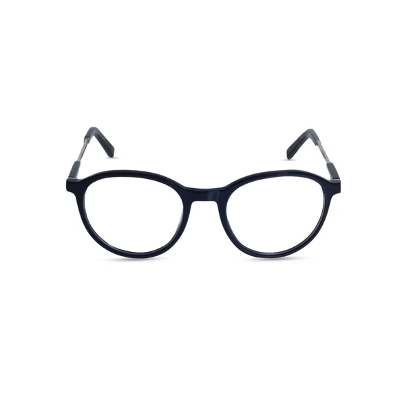 Z0304 optical