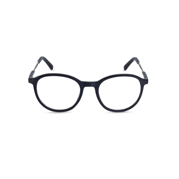Z0304 optical