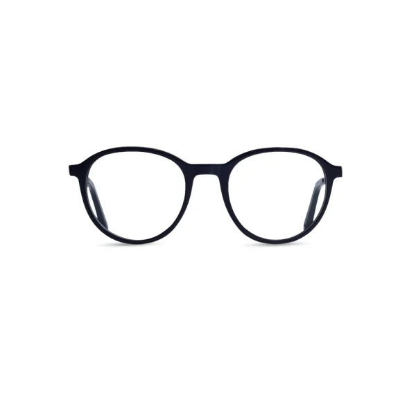 Z0304 optical